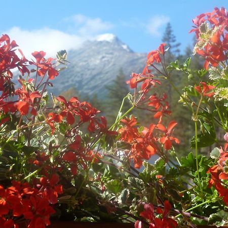 Erika Penzion Vysoké Tatry 외부 사진