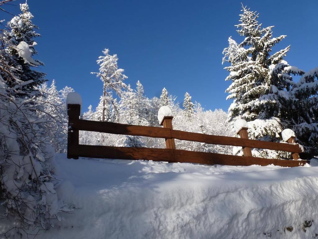 Erika Penzion Vysoké Tatry 외부 사진